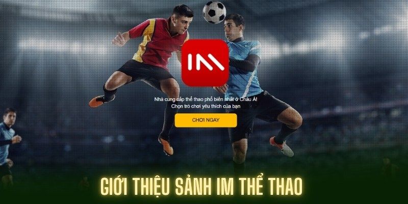 Tổng quan sảnh cá cược thể thao im BWING 